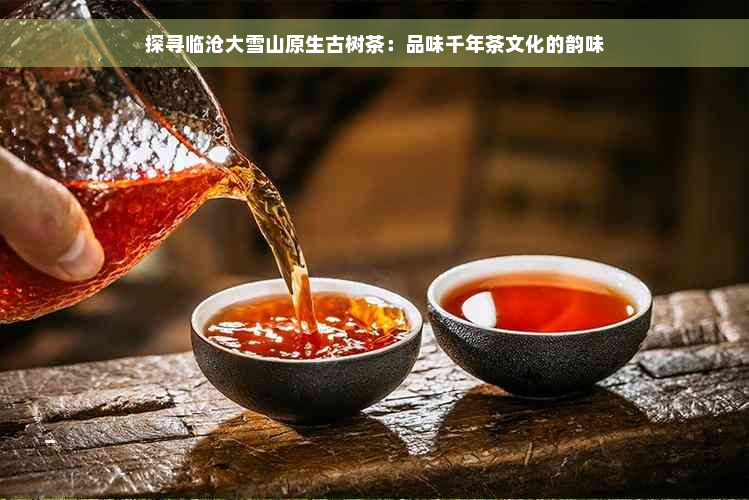 探寻临沧大雪山原生古树茶：品味千年茶文化的韵味