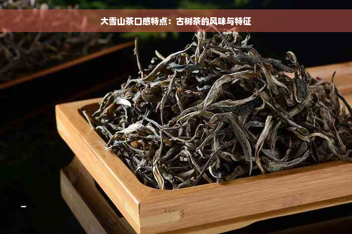 大雪山茶口感特点：古树茶的风味与特征