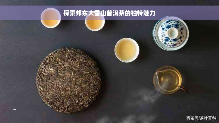 探索邦东大雪山普洱茶的独特魅力