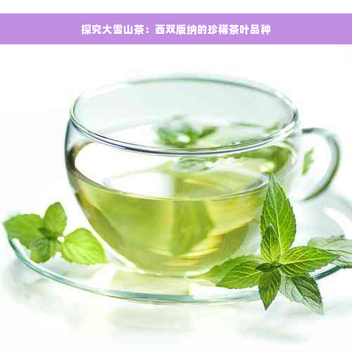 探究大雪山茶：西双版纳的珍稀茶叶品种