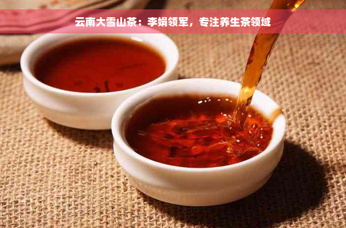 云南大雪山茶：李娟领军，专注养生茶领域