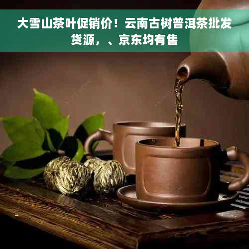 大雪山茶叶促销价！云南古树普洱茶批发货源，、京东均有售