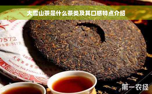大雪山茶是什么茶类及其口感特点介绍