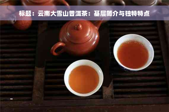 标题：云南大雪山普洱茶：基层简介与独特特点