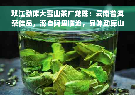 双江勐库大雪山茶厂龙珠：云南普洱茶佳品，源自阿里临沧，品味勐库山水