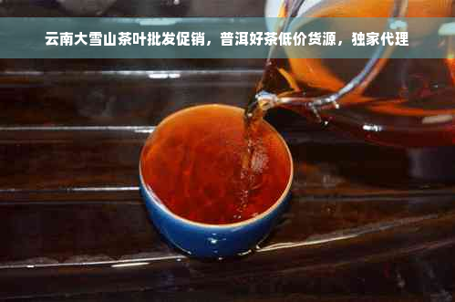 云南大雪山茶叶批发促销，普洱好茶低价货源，独家代理