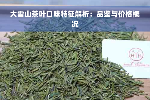 大雪山茶叶口味特征解析：品鉴与价格概况