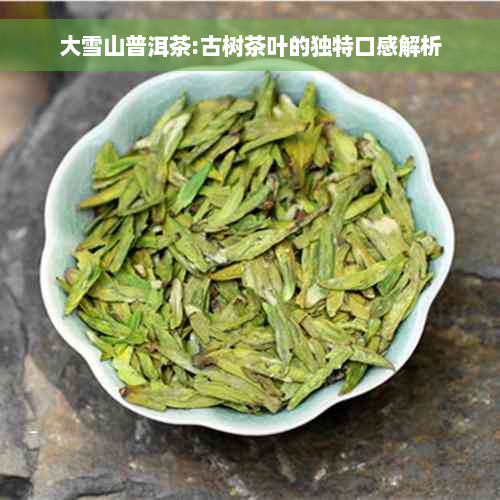 大雪山普洱茶:古树茶叶的独特口感解析