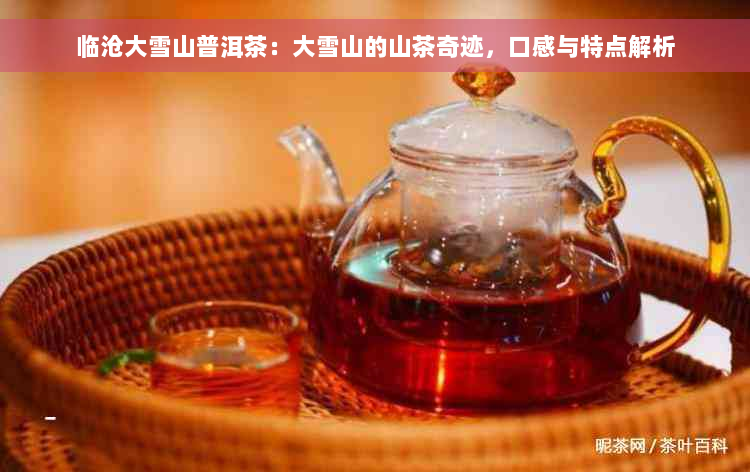 临沧大雪山普洱茶：大雪山的山茶奇迹，口感与特点解析