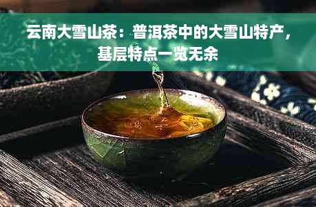 云南大雪山茶：普洱茶中的大雪山特产，基层特点一览无余