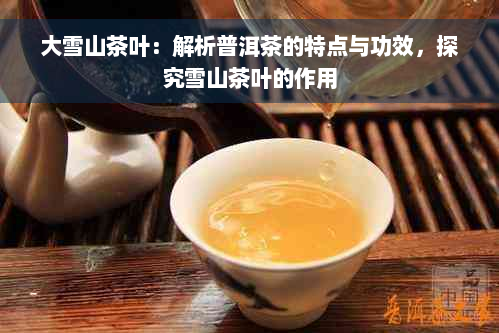 大雪山茶叶：解析普洱茶的特点与功效，探究雪山茶叶的作用