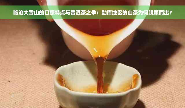 临沧大雪山的口感特点与普洱茶之争：勐库地区的山茶为何脱颖而出？