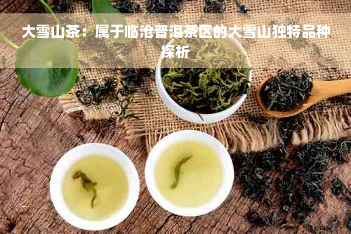 大雪山茶：属于临沧普洱茶区的大雪山独特品种探析