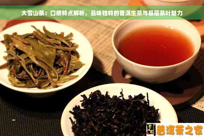 大雪山茶：口感特点解析，品味独特的普洱生茶与基层茶叶魅力