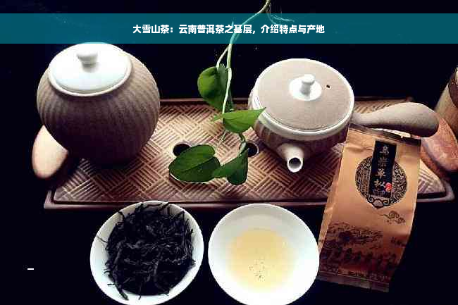 大雪山茶：云南普洱茶之基层，介绍特点与产地