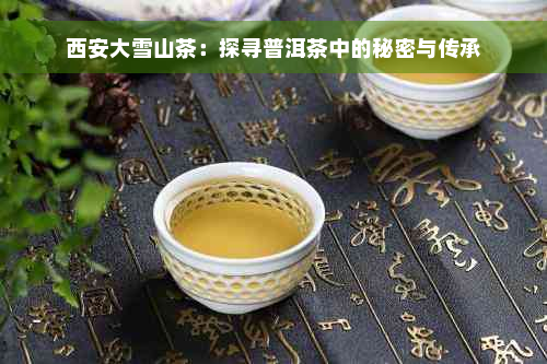 西安大雪山茶：探寻普洱茶中的秘密与传承