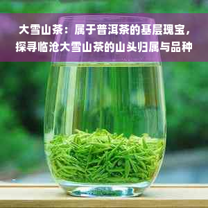 大雪山茶：属于普洱茶的基层瑰宝，探寻临沧大雪山茶的山头归属与品种特色