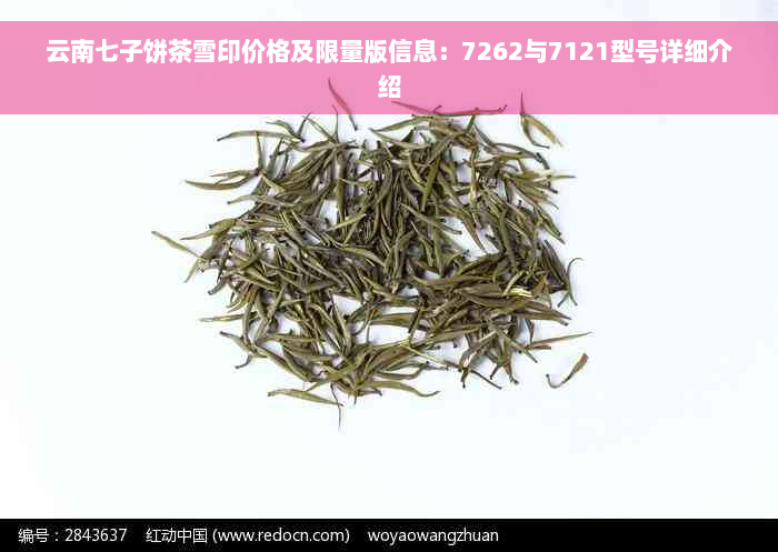 云南七子饼茶雪印价格及限量版信息：7262与7121型号详细介绍