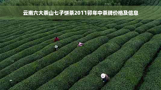云南六大茶山七子饼茶2011卯年中茶牌价格及信息