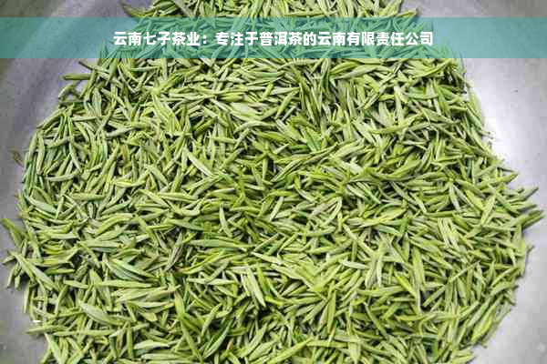 云南七子茶业：专注于普洱茶的云南有限责任公司