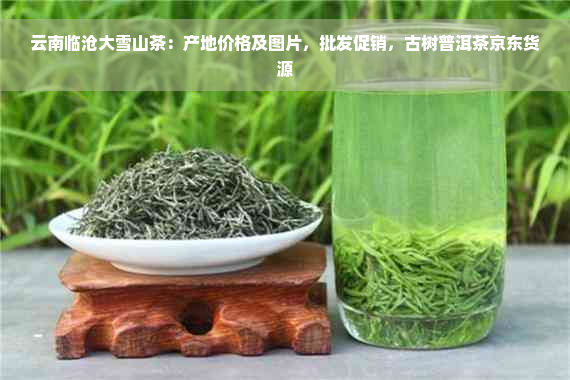 云南临沧大雪山茶：产地价格及图片，批发促销，古树普洱茶京东货源