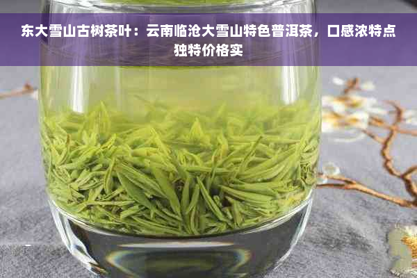东大雪山古树茶叶：云南临沧大雪山特色普洱茶，口感浓特点独特价格实