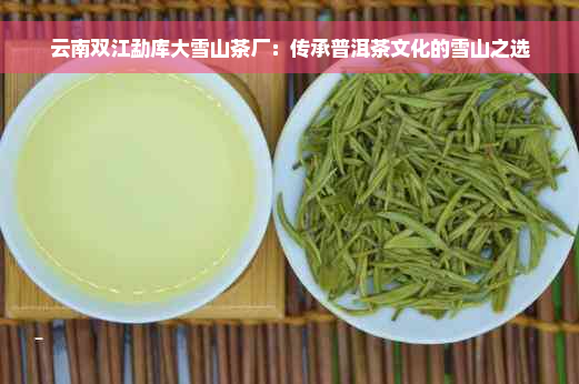 云南双江勐库大雪山茶厂：传承普洱茶文化的雪山之选