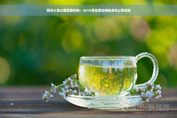 邦马大雪山普洱茶价格：2016年生茶古树特点与公司信息