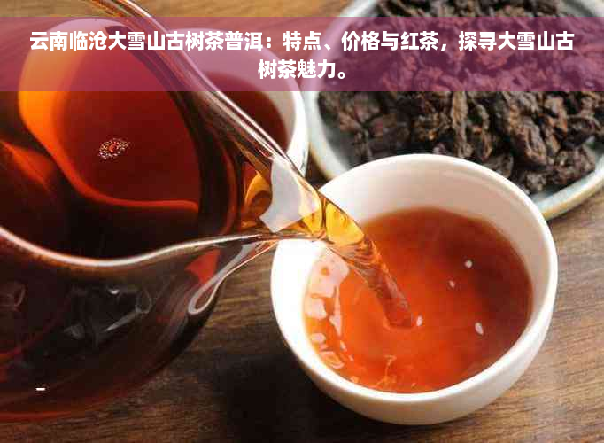 云南临沧大雪山古树茶普洱：特点、价格与红茶，探寻大雪山古树茶魅力。
