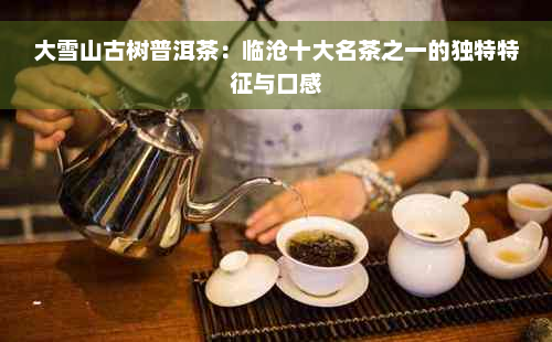 大雪山古树普洱茶：临沧十大名茶之一的独特特征与口感