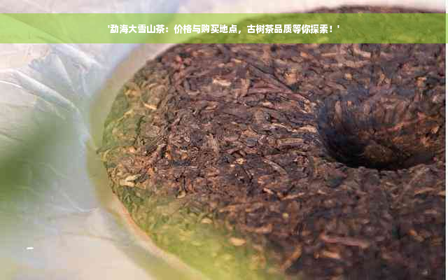 '勐海大雪山茶：价格与购买地点，古树茶品质等你探索！'