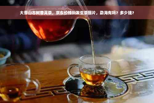 大雪山古树普洱茶，京东价格批发生茶图片，勐海有吗？多少钱？