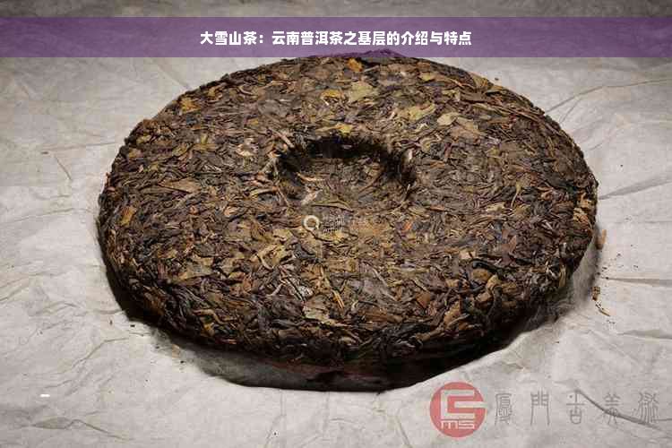 大雪山茶：云南普洱茶之基层的介绍与特点