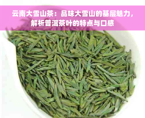 云南大雪山茶：品味大雪山的基层魅力，解析普洱茶叶的特点与口感