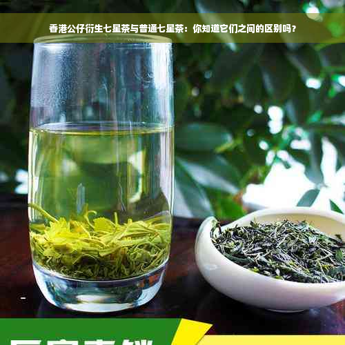 香港公仔衍生七星茶与普通七星茶：你知道它们之间的区别吗？
