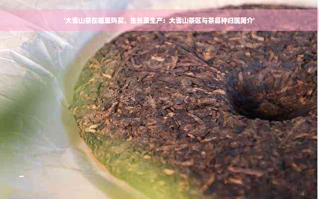 '大雪山茶在哪里购买，生长及生产：大雪山茶区与茶品种归属简介'
