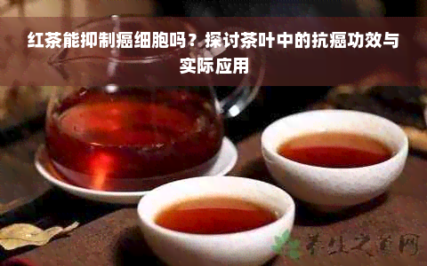 红茶能抑制癌细胞吗？探讨茶叶中的抗癌功效与实际应用