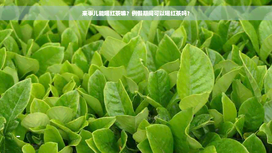 来事儿能喝红茶嘛？例假期间可以喝红茶吗？