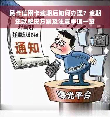 民卡信用卡逾期后如何办理？逾期还款解决方案及注意事项一览