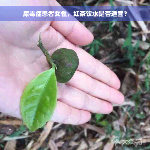 尿毒症患者女性，红茶饮水是否适宜？