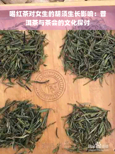 喝红茶对女生的胡须生长影响：普洱茶与茶会的文化探讨