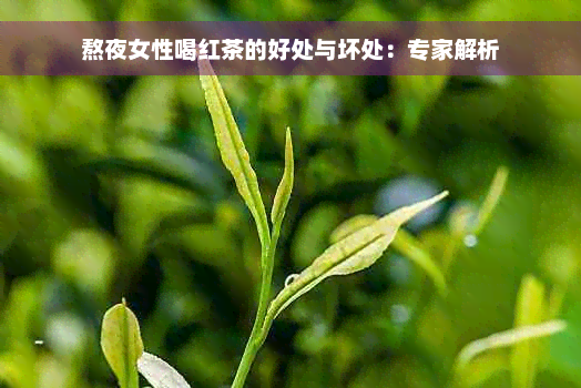 熬夜女性喝红茶的好处与坏处：专家解析