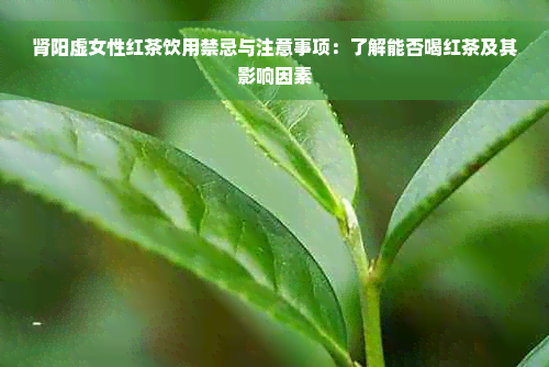 肾阳虚女性红茶饮用禁忌与注意事项：了解能否喝红茶及其影响因素