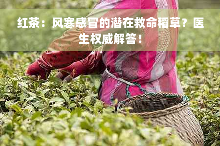 红茶：风寒感冒的潜在救命稻草？医生权威解答！