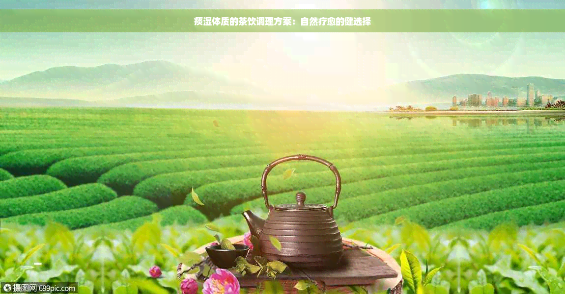 痰湿体质的茶饮调理方案：自然疗愈的健选择