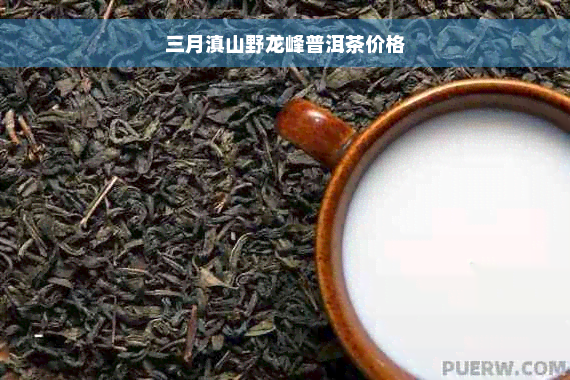 三月滇山野龙峰普洱茶价格