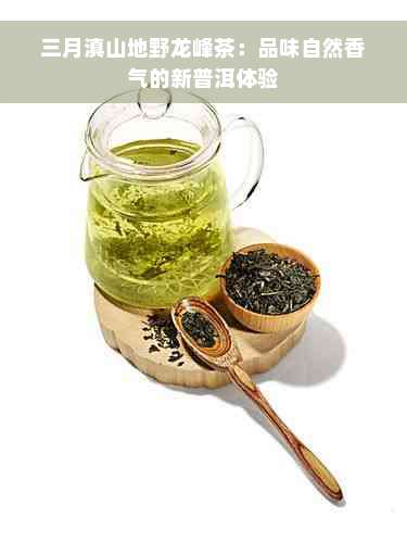 三月滇山地野龙峰茶：品味自然香气的新普洱体验