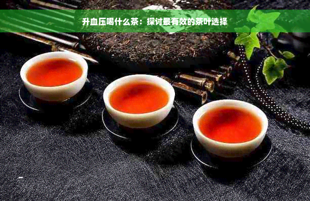 升血压喝什么茶：探讨最有效的茶叶选择