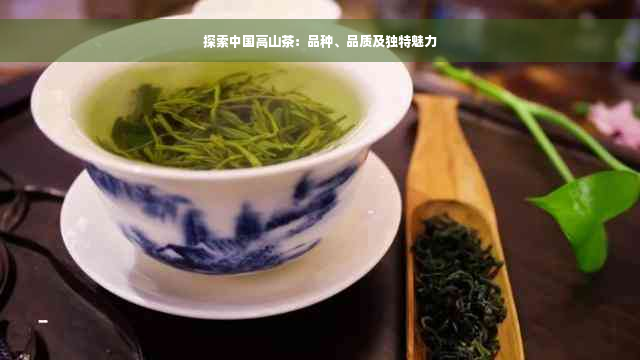 探索中国高山茶：品种、品质及独特魅力