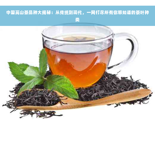 中国高山茶品种大揭秘：从传统到现代，一网打尽所有你想知道的茶叶种类
